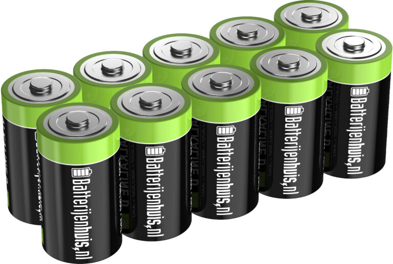 1504-0004_d-alkaline-batterijen-10x